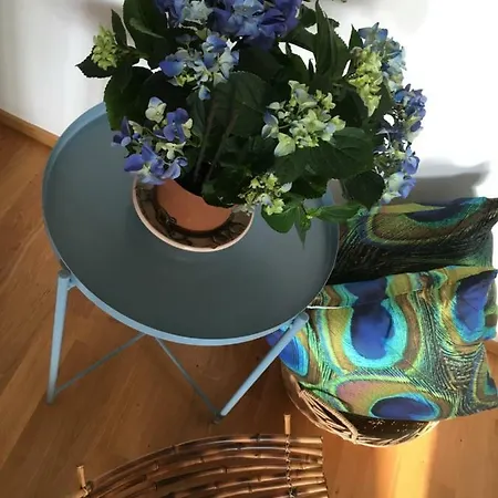 Apartment Teti