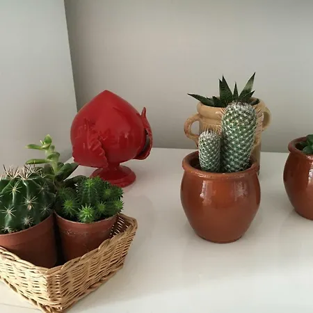 Apartment Teti *